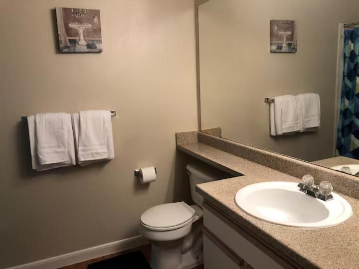 Lavish Apartment Near Houston Medical Centre Номер фото